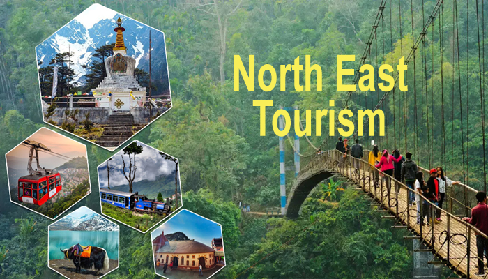 Aaheen Tour & Travels