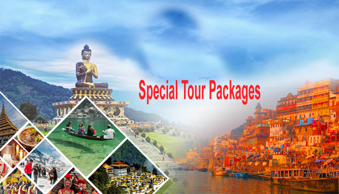 Aaheen Tour & Travels